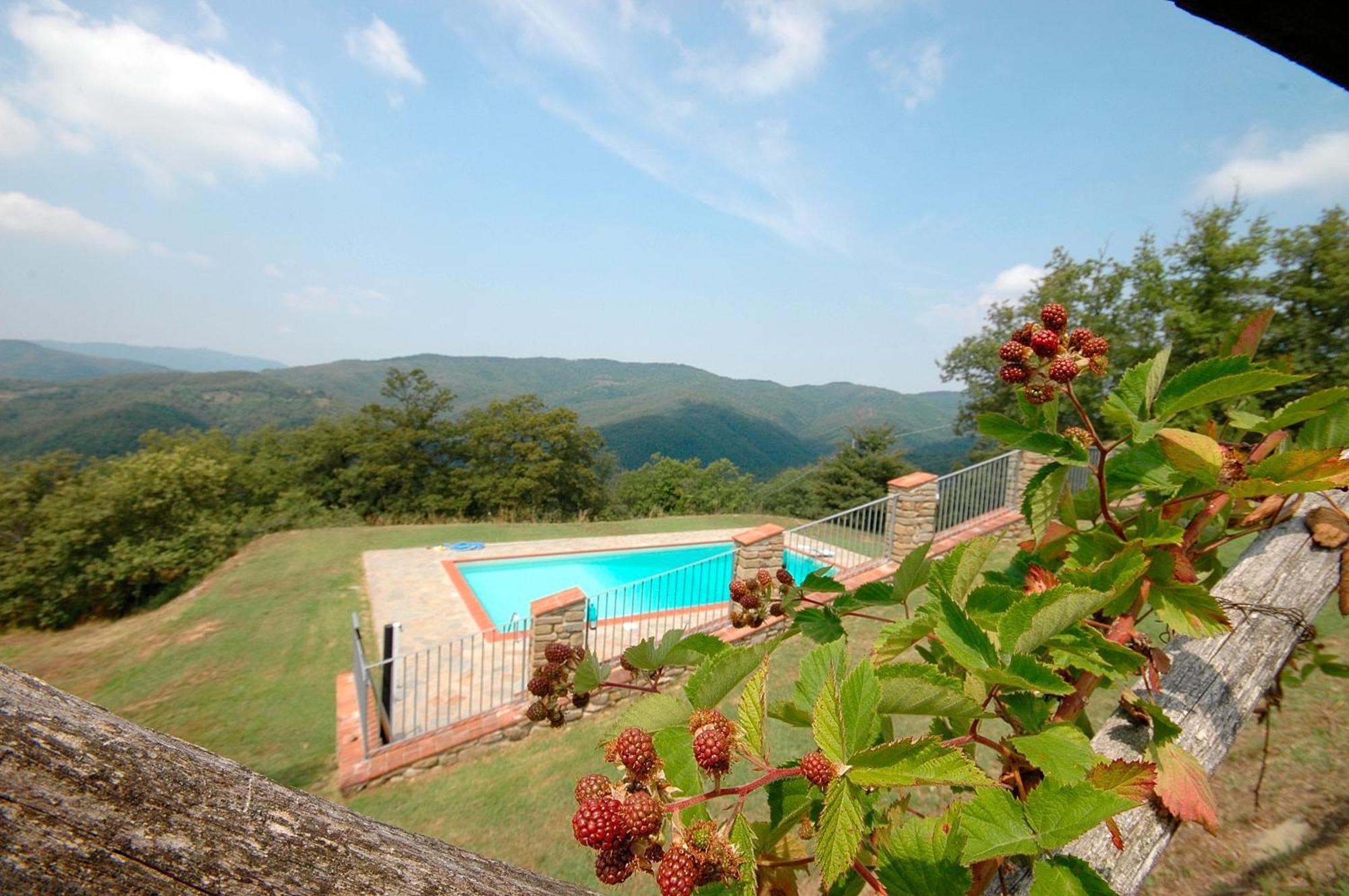 Agriturismo Badia Ficarolo Palazzo del Pero Eksteriør bilde
