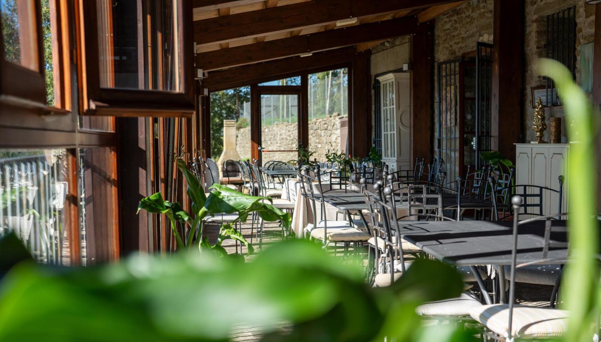 Agriturismo Badia Ficarolo Palazzo del Pero Eksteriør bilde