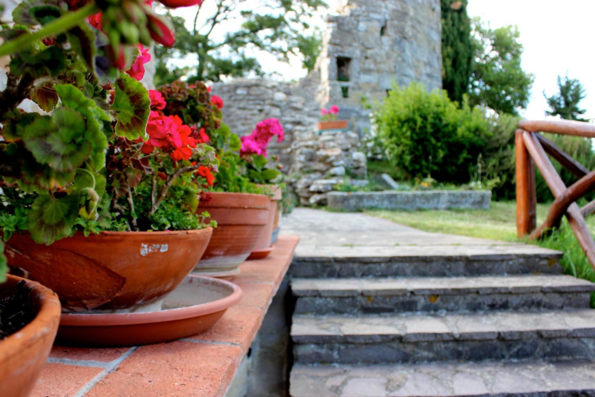 Agriturismo Badia Ficarolo Palazzo del Pero Eksteriør bilde